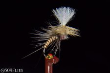 DSC_0164 - edit 1.jpg