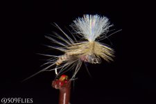 DSC_0165 - edit 1 (1).jpg