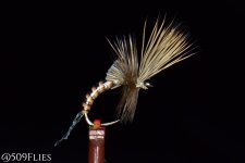 DSC_0166 - edit 1 (1).jpg