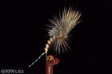 DSC_0167 - edit 1 (1).jpg