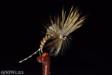 DSC_0168 - edit 1.jpg