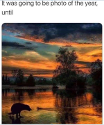 1677065261075.png