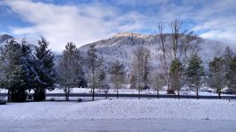 IMG_20230222_084830152_HDR.jpg