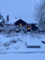 IMG_8003.jpeg