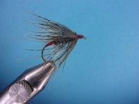 Muskrat Bumble (2).JPG