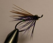 green butt purple Spratley.JPG