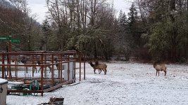 IMG_20230221_161250768.jpg