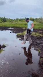 splash-puddle.gif