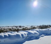 20230224_104421.jpg 20230224_104421.jpg
