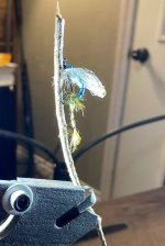 reed fly.jpg