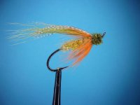 Cascade Caddis.JPG