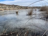 IMG_2096.jpg