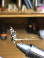 577DE25D-C1E0-4715-B17D-CD6D6EE0552B.jpeg