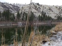 20230301_icefree.jpg