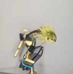PXL_20230202_034953948.jpg