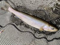 IMG_3033.jpg