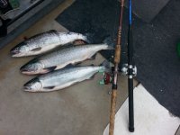 20180720_085002.jpg