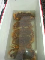 20180825_190448.jpg