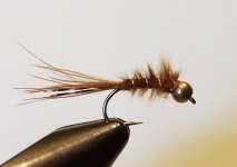 20230304_083858.jpg