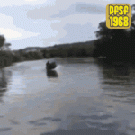 tenor-24.gif
