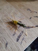 20230304_120340.jpg