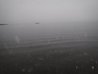 2A00DE99-8641-4AD5-A266-E315AEBE5AF4.jpeg 2A00DE99-8641-4AD5-A266-E315AEBE5AF4.jpeg