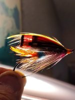 20230304_191016.jpg