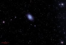 NGC 2403 Spiral galaxy-PS copy.jpg