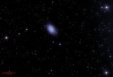 NGC 2403 Spiral galaxy-PS copy.jpg NGC 2403 Spiral galaxy-PS copy.jpg