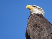 IMG_4019.JPG