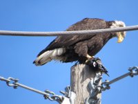IMG_4020.JPG
