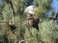 IMG_3965.JPG
