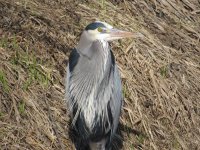 IMG_4005.JPG