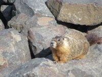 IMG_3990.JPG