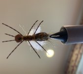 IMG_1630.jpeg IMG_1630.jpeg