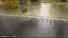 1678331782309.gif