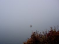 E9602BBF-C89C-483B-9783-84C86B03D25F.jpeg