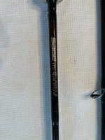 IMG_0955.jpg