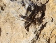 20230310_060559[1].jpg