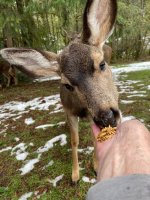 IMG_8317.jpeg