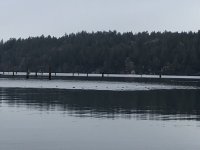 2281D036-7852-4A8E-9167-4C3F428A0F28.jpeg