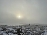 31123-5.jpg 31123-5.jpg