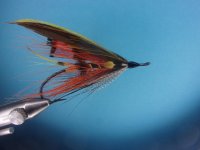 blackskagitspey.JPG blackskagitspey.JPG