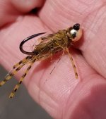 20230314_flywet.jpg