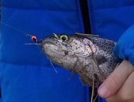 20230315_leech.jpg