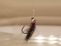 20230316_062103.jpg