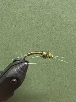17601279-13D5-4DDC-BD12-33DF63523A76.jpeg