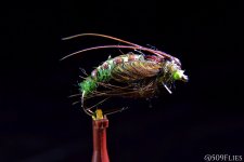 DSC_0431 - edit 1.jpg