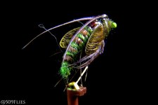 DSC_0428 - edit 1.jpg
