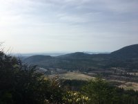51EE20D9-052B-4AE2-9E47-25348D7FCC97.jpeg